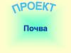 Проект «Почва»