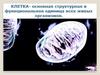 Строение клетки