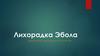 Лихорадка Эбола