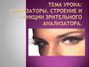 Анализаторы. Строение и функции зрительного анализатора