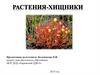 Растения - хищники