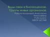 Виды связи в биогеоценозе. Группы живых организмов