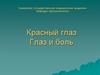 Красный глаз. Глаз и боль