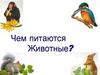 Органы пищеварения. Обмен веществ и энергии