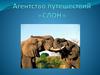 Агентство путешествий «СЛОН»