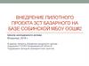 Внедрение пилотного проекта ЗСТ Базарного на базе Собинской МБОУ ООШ №2