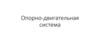 Опорно-двигательная система