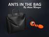 Ants in the bag
