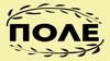 Что такое "Поле"