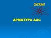Арматура АЭС