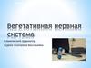 Вегетативная нервная система