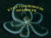 Класс Головоногие Моллюски