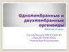 Одномембранные и двухмембранные органоиды