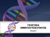 Генетика иммуноглобулинов