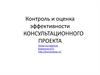 Контроль и оценка эффективности консультационного проекта