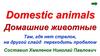 Домашние животные. Domestic animals