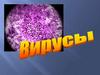 Понятие о вирусах
