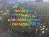 Проектная деятельность в дополнительном образовании
