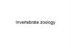 Invertebrate zoology