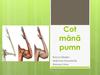 Cot mână pumn