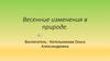 Весенние изменения в природе (для дошкольников)
