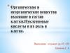 Органические и неорганические вещества, входящие в состав клетки. Нуклеиновые кислоты и их роль в клетке