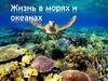 Жизнь в морях и океанах