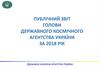 Публічний звіт голови державного космічного агентства України