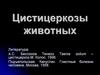 Цистицеркозы животных