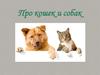 Про кошек и собак