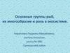 Основные группы рыб, их многообразие и роль в экосистеме