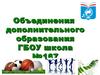 Кружки и секции. Объединения дополнительного образования