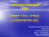 Биологический КВН "Мир пёстрых плавничков"
