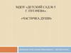 МДОУ «Детский сад № 5 г. Пугачева». «Частичка души»