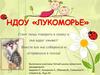 НДОУ «Лукоморье»