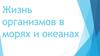 Жизнь организмов в морях и океанах