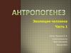 Возможная родословная человека. Антропогенез. Эволюция человека. Часть 1