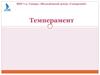 Темперамент