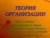 Теория организации