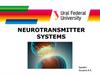 Neurotransmitter systems