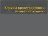 Органы кроветворения и иммунной защиты