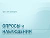 Опросы и наблюдения. Где и как проводить опросы и наблюдения