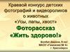 «Усы, лапы, хвост» Фоторассказ «Жить здорово!»