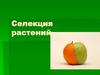 Селекция растений