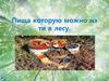 Пища, которую можно найти в лесу