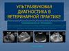 Ультразвуковая диагностика в ветеринарной практике