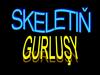 Skeletiň gurluşy