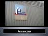 Компания "Амикон"