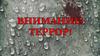 Внимание: террор!