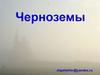 Черноземы